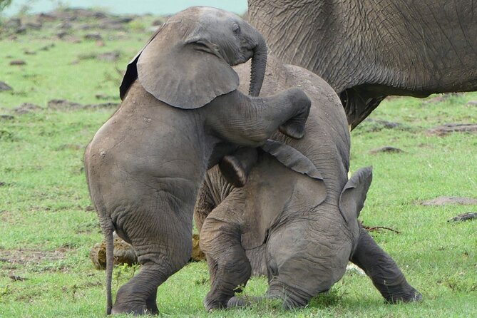 3 Day Private 4x4 Jeep Tour in Masai Mara Safari - Why three days works better than a quick Mara visit