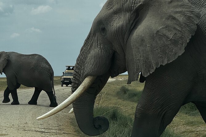 3 Day Private Tour in Maasai Mara with Lodge Luxury with Jeep - Key points at a glance