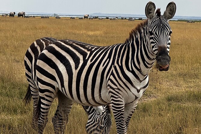 3 Day Private Tour in Maasai Mara with Lodge Luxury with Jeep - The full 10-hour safari on Day 2