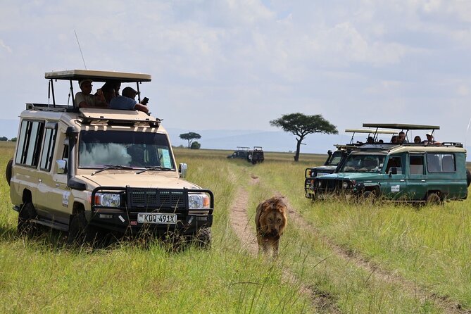 3 Day Private Tour in Maasai Mara with Lodge Luxury with Jeep - The Maasai village visit on Day 3