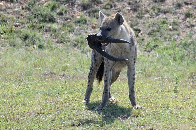 3-Day Private Tour in Tsavo West National Parks - What the $1,790 price means