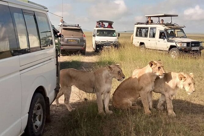 3 Day Private Wild Safari Tour in Maasai Mara - Leaving Nairobi at 7 a.m. for the Rift Valley
