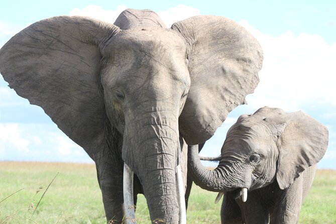 3-Day Sweetwaters: Ol Pejeta Conservancy Safari from Nairobi - From Nairobi to Sweetwaters by private Land Cruiser
