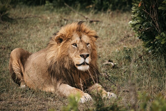 3-Day Tsavo East and Tsavo West Safari - The accommodation question you should settle first