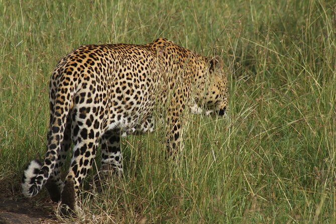3-Day Tsavo East and Tsavo West Safari - Who will enjoy this three-day route