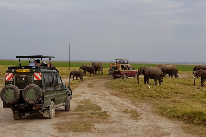 3 Days 2 Nights Amboseli National Park Tour - Leaving Nairobi at 7:00 a.m.