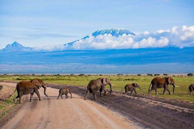 3 Days 2 Nights Amboseli National Park Tour - Day 2: the full Amboseli wildlife day