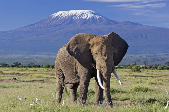 3 Days 2 Nights Amboseli National Park Tour - What the $500 price really covers