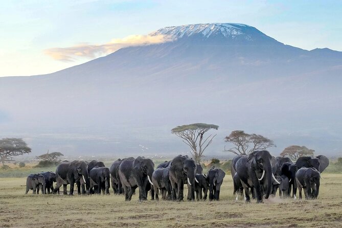 3 Days 2 Nights Amboseli National Park Tour - Small details that make the trip easier