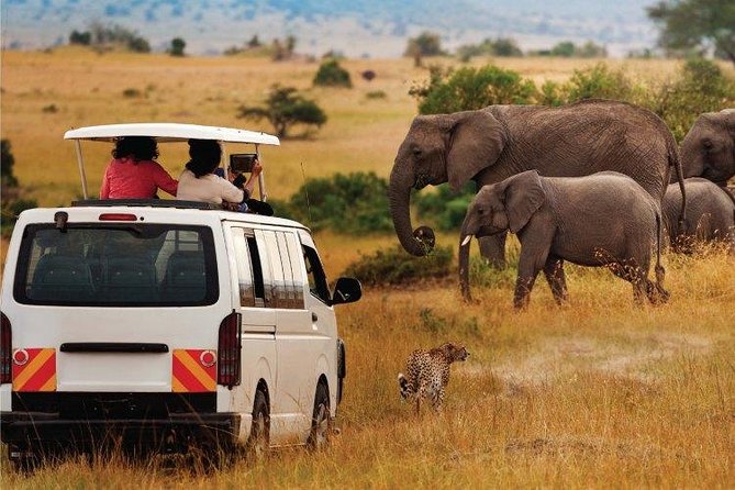 3 Days 2 Nights Amboseli Safari - Day 3 combines wildlife and the return journey