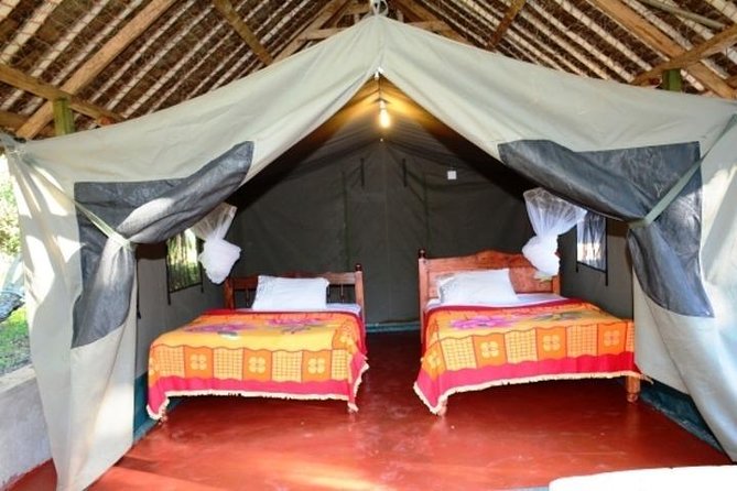 3 days 2 nights budget group safari to Maasai Mara National Reserve - Two nights of camp life