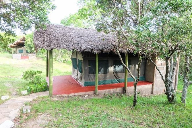 3 days 2 nights budget group safari to Maasai Mara National Reserve - Day three: Maasai culture and the road back to Nairobi