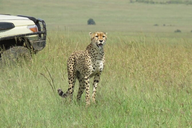 3 Days 2 nights Group joining Midrange Safari Tour in Masai maraa - The long road from Nairobi to the Maasai Mara