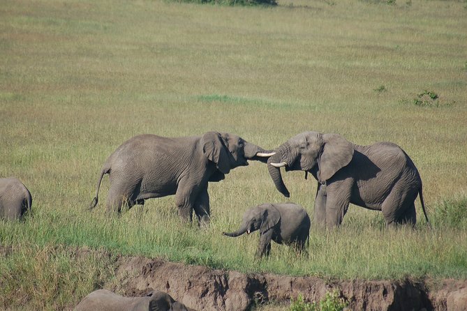3 Days 2 Nights in Maasai Mara via The Great Rift Valley - From Nairobi to the Great Rift Valley