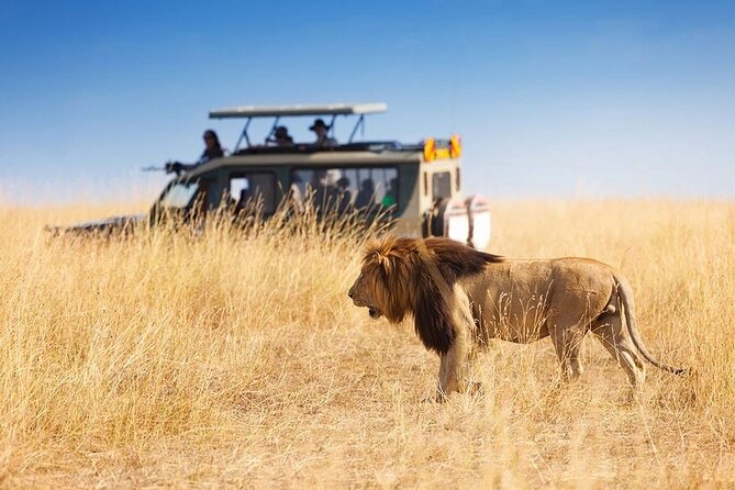 3 Days - 2 Nights Maasai Mara from Nairobi - Why this three-day Maasai Mara plan works