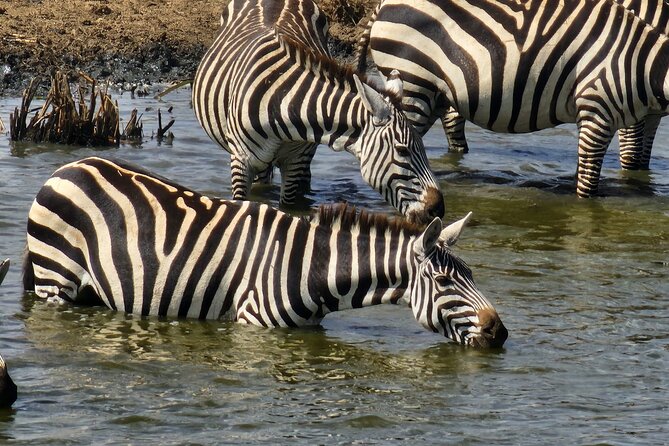 3 Days - 2 Nights Maasai Mara from Nairobi - What past service details suggest