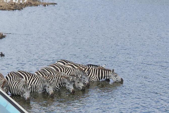 3 Days - 2 Nights Maasai Mara from Nairobi - Who should book this safari?