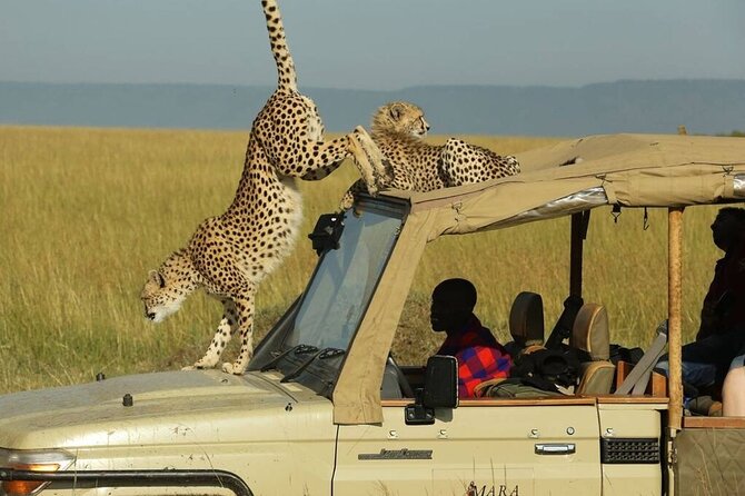 3 Days - 2 Nights Maasai Mara from Nairobi - A full day among the Mara’s open plains