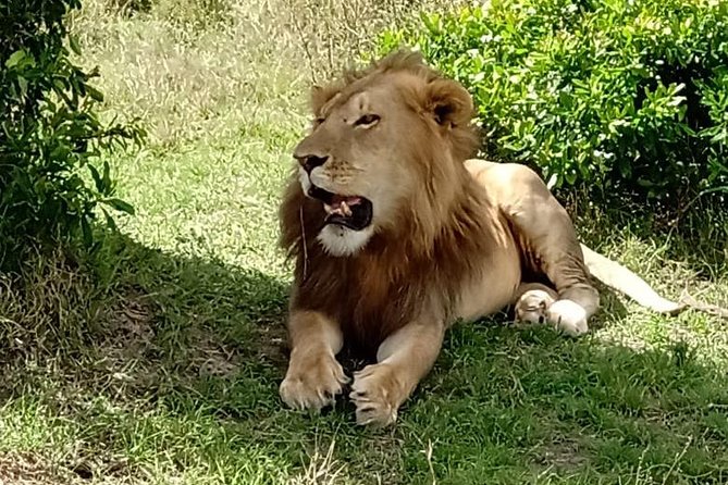 3 days, 2 nights Maasai Mara Game Reserve - Leaving Nairobi for the Great Rift Valley