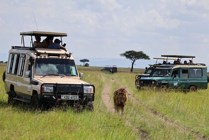 3 Days 2 Nights Maasai Mara Group Safari by 4WD From Nairobi - The camp stay and what $187 really covers