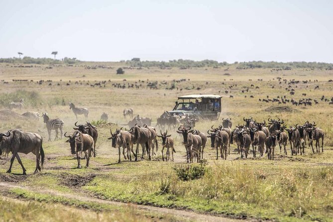 3 Days 2 Nights Maasai Mara National Reserve Joining Safari - Day one: Nairobi, the Rift Valley, and an afternoon game drive