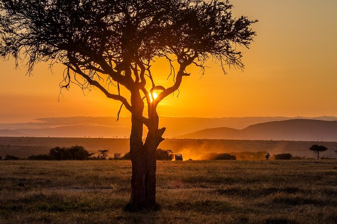 3 Days 2 Nights Maasai Mara National Reserve Joining Safari - Who will like this safari most