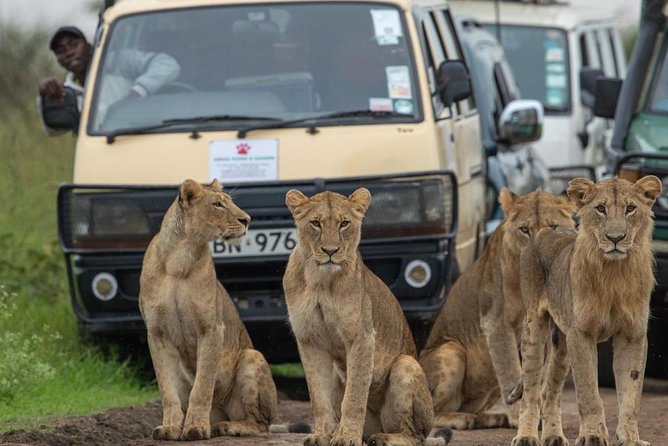 3 Days 2 Nights Masai Mara Joining Safari From Nairobi - Day two: the full day that makes the trip worthwhile