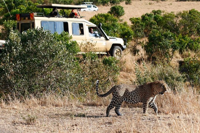 3 Days 2 Nights Masai Mara Joining Safari From Nairobi - What the $500 price really covers