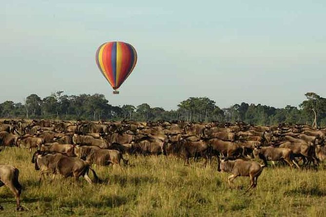 3 Days 2 Nights Masai Mara Joining Safari From Nairobi - Shared transport, group size, and vehicle questions