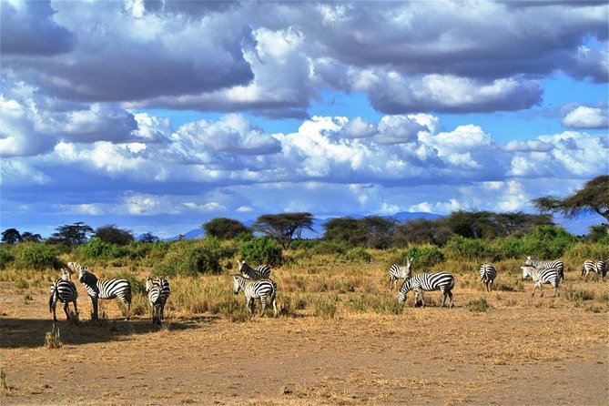3 Days, 2 Nights Safari - Amboseli National Park and Tsavo West Adventure Safari - Key points at a glance