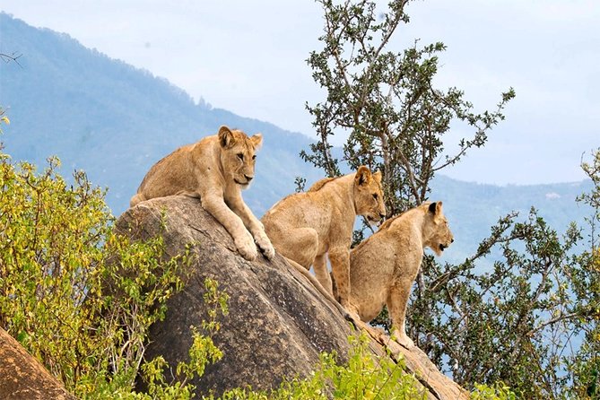 3 Days, 2 Nights Safari - Amboseli National Park and Tsavo West Adventure Safari - The optional Tsavo East return route