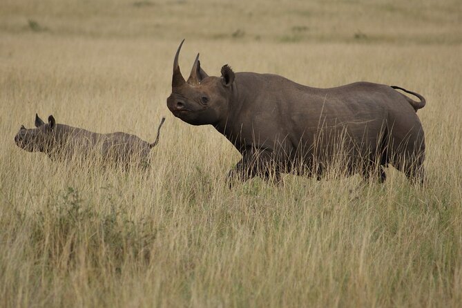 3 Days, 2 Nights Safari - Luxury Maasai Mara from Kisumu/Nairobi - Day three: a cultural stop before the ride back