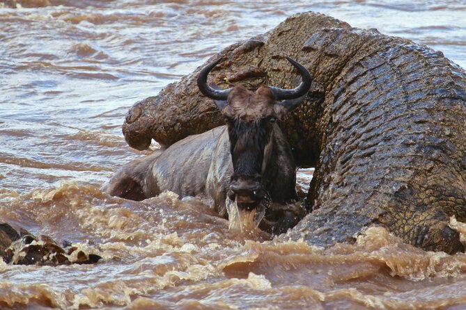 3 Days, 2 Nights Safari - Luxury Maasai Mara from Kisumu/Nairobi - What the $2,230 price covers