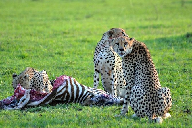 3 days, 2 nights safari to Amboseli National park from Nairobi - The Nairobi to Amboseli road trip