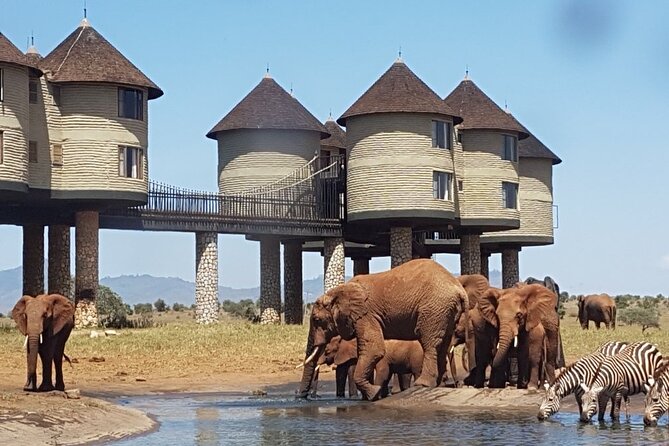 3 Days 2 Nights Safari to Saltlick Lodge from Nairobi - The Big Attraction: Saltlick Lodge Above the Waterhole