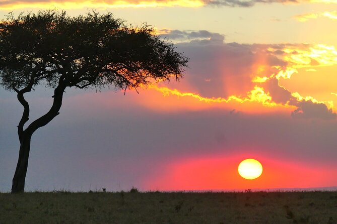 3 Days 2 Nights Safari to Saltlick Lodge from Nairobi - The Final Morning Sunrise Drive Back to Nairobi