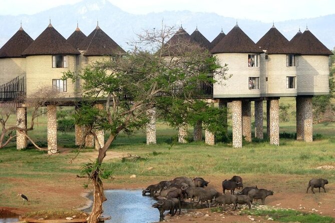 3 Days 2 Nights Safari to Saltlick Lodge from Nairobi - Lunch at Taita Hills Resort and the First Game Drive