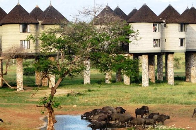 3 Days 2 Nights To Sarova Saltlick And Taita Hills - Key points to know before booking