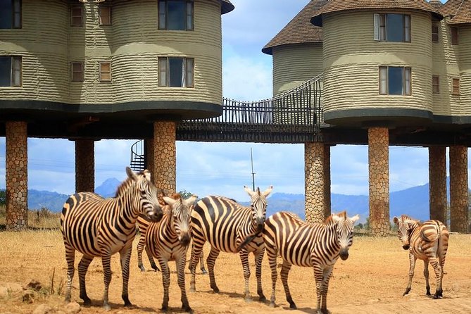3 Days(2 nights) Tsavo East Tour & Saltlick (Cost based on minimum 2 persons) - Day one: entering Tsavo East through Bachuma Gate