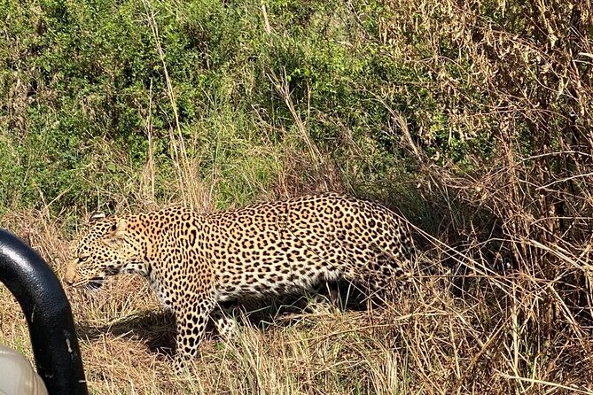 3 Days Adventure Tour in Masai Mara - The 6:30 a.m. sunrise drive