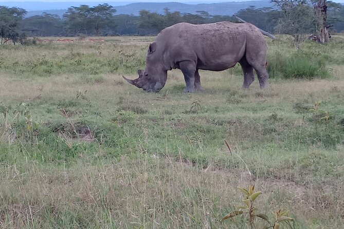 3 Days Adventure Tour in Masai Mara - Meals and accommodation across two nights