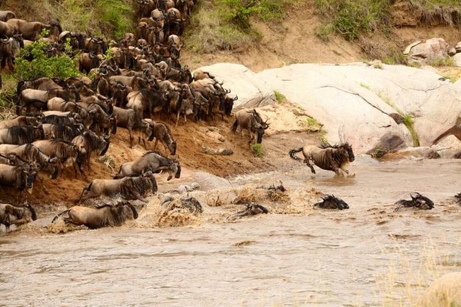 3 Days adventurous Maasai Mara Budget Group Safari - Food, water, showers, and what to pack
