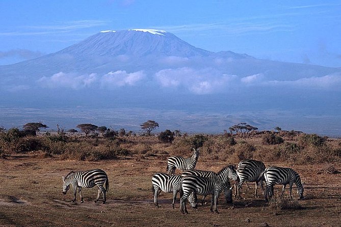 3 days Amboseli, Land of Kilimanjaro - Should you book it?