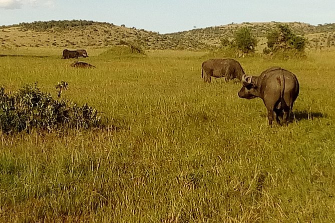3 Days Amboseli National Park - What the three-day rhythm may feel like