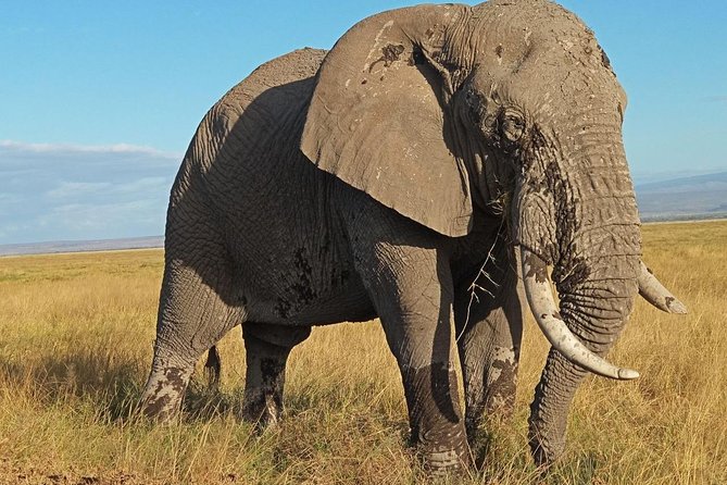 3 Days Amboseli National Park - The first Amboseli views