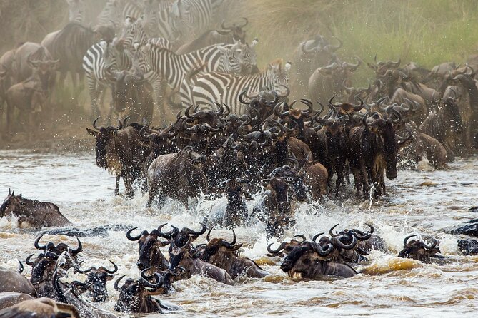 3 Days and 2 Nights Adventure in Masai Mara - Day one: your first hours inside Masai Mara