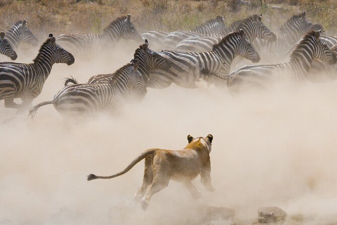 3 Days and 2 Nights Adventure in Masai Mara - What the $1,280 price covers