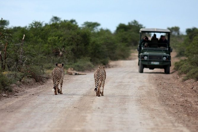 3 Days Budget Masai Mara Safari - The optional Maasai village visit