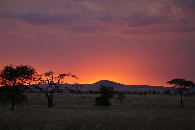 3 Days Budget Masai Mara Safari - Leaving Nairobi at 5:00 am