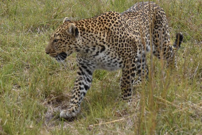 3 Days Gamedrive Safari In Masai Mara From Nairobi - From Nairobi to the Great Rift Valley viewpoint